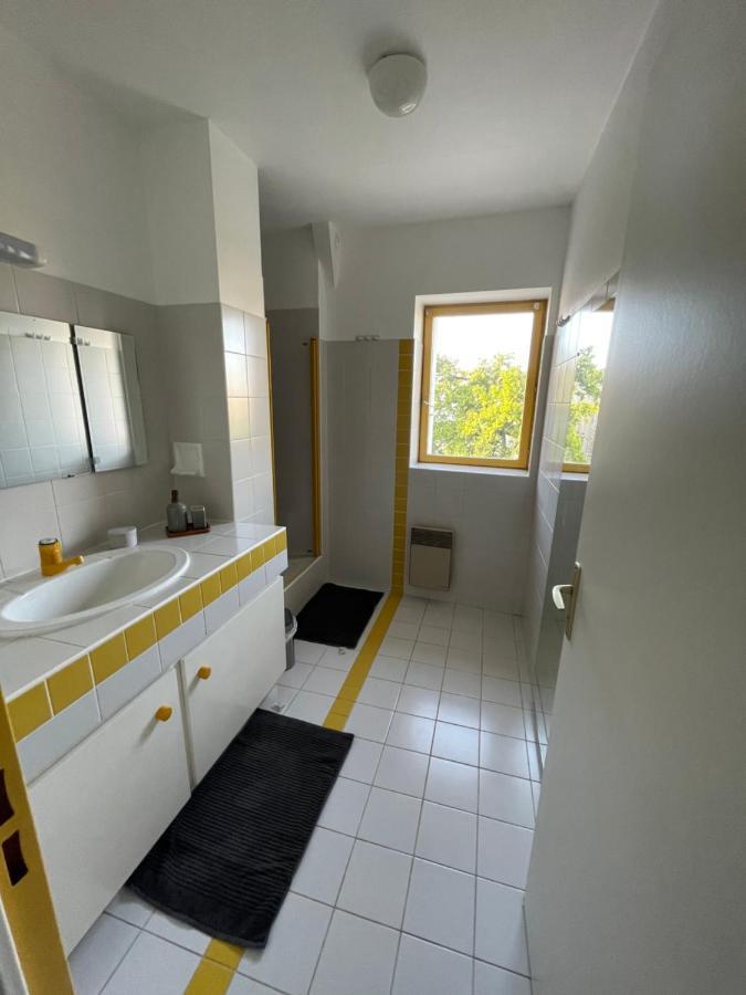 Grand Appartement Hypercentre Avec Terrasse Et Parking ポアティエ エクステリア 写真