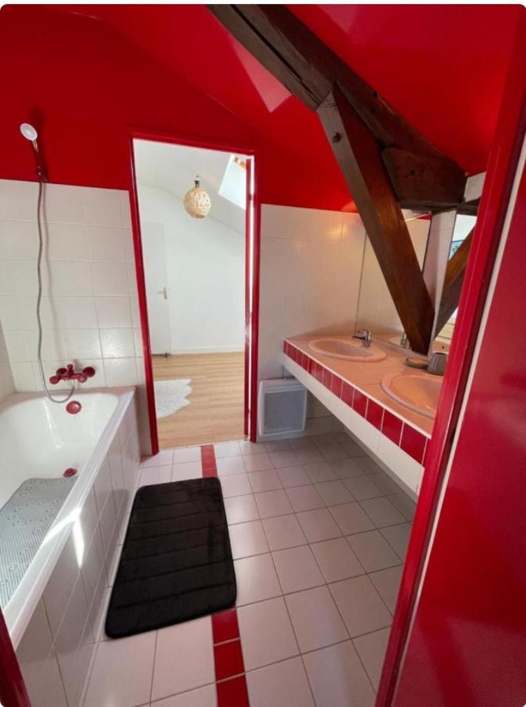 Grand Appartement Hypercentre Avec Terrasse Et Parking ポアティエ エクステリア 写真